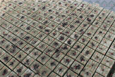 盛鼎農用巖棉實驗基地實拍