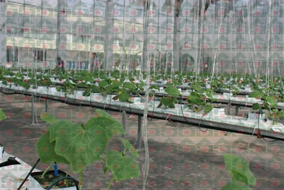 盛鼎農用巖棉實驗基地實拍