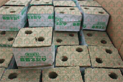 盛鼎農用巖棉實驗基地實拍